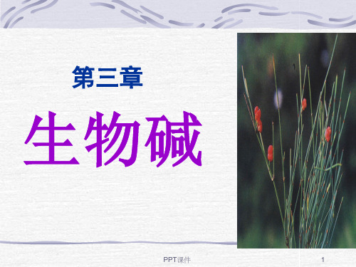 第三章 生物碱