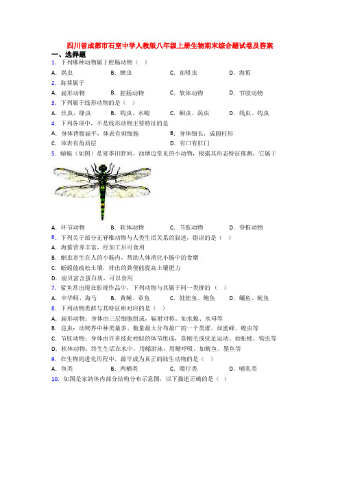 四川省成都市石室中学人教版八年级上册生物期末综合题试卷及答案