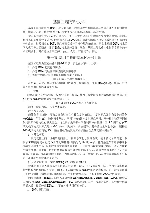 基因工程育种技术