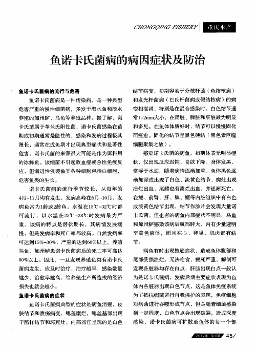 鱼诺卡氏菌病的病因症状及防治