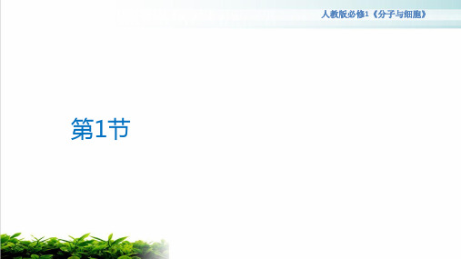 新教材人教版生物《分子与细胞》ppt教学课件1