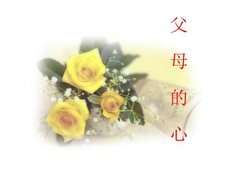 八年级语文上册3.13父母的心课件2苏教版