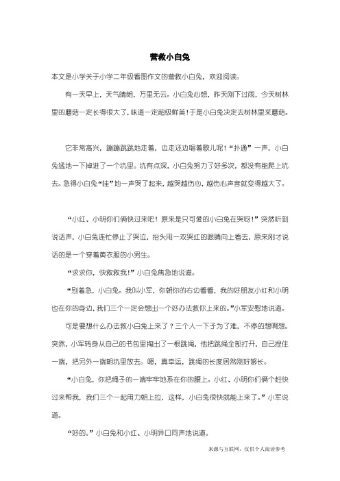 小学二年级看图作文：营救小白兔