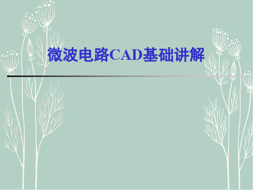 微波电路CAD基础讲解