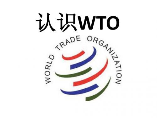 WTO简介
