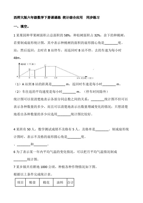 西师大版六年级数学下册课课练 4.2统计综合应用 同步练习