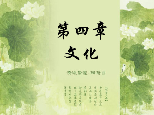 第四章 文化
