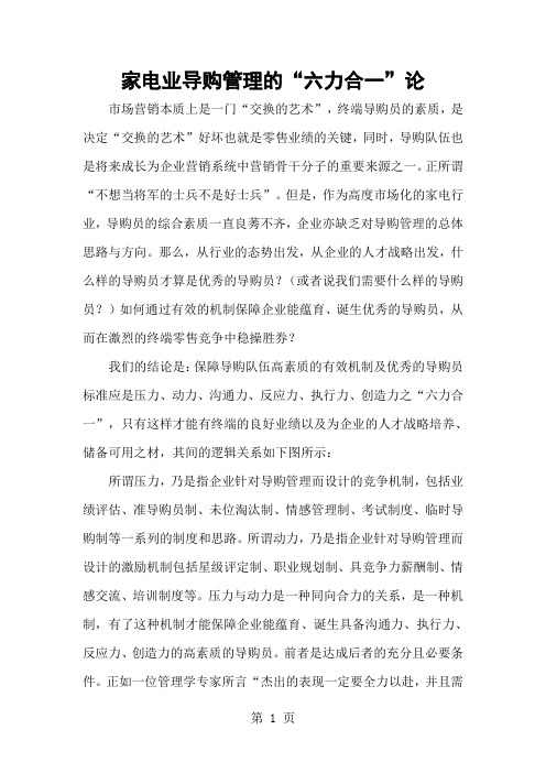 家电业导购管理-11页精选文档