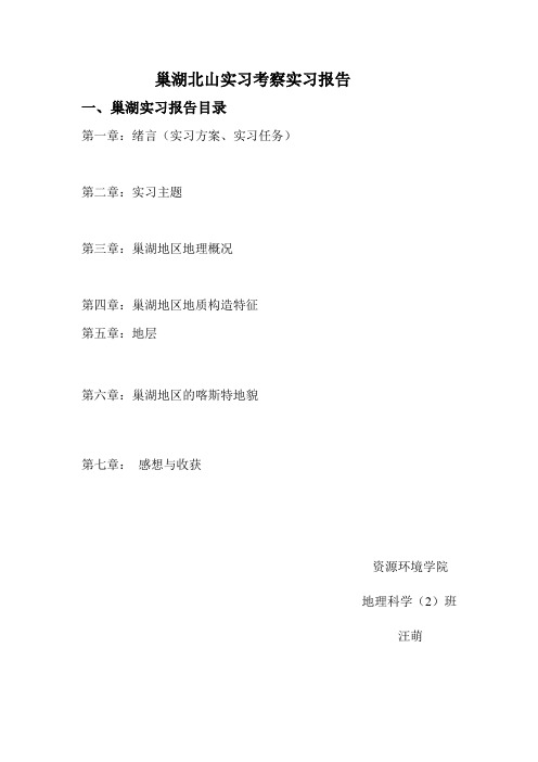 巢湖北山实习考察实习报告