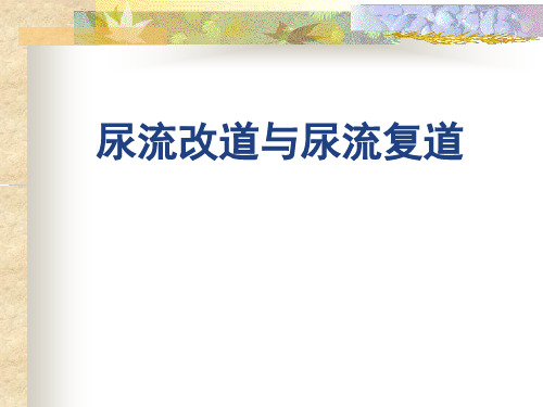 尿流改道