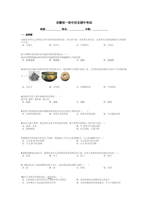 安徽初一初中历史期中考试带答案解析
