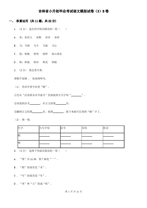 吉林省小升初毕业考试语文模拟试卷(3)B卷