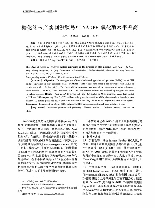 糖化终末产物刺激胰岛中NADPH氧化酶水平升高