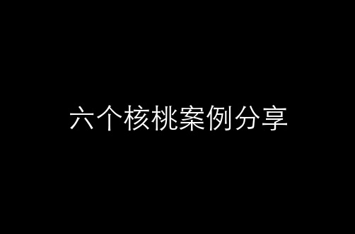 六个核桃营销案例解析