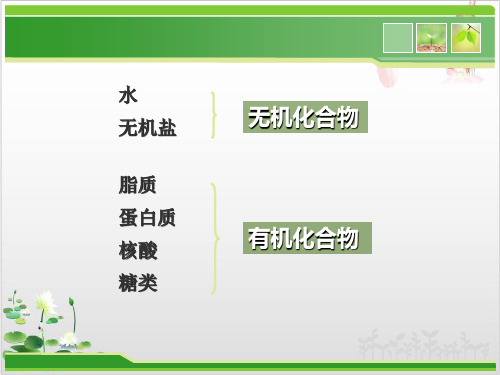 人教版高中生物必修一细胞中的无机物-ppt精品课件1