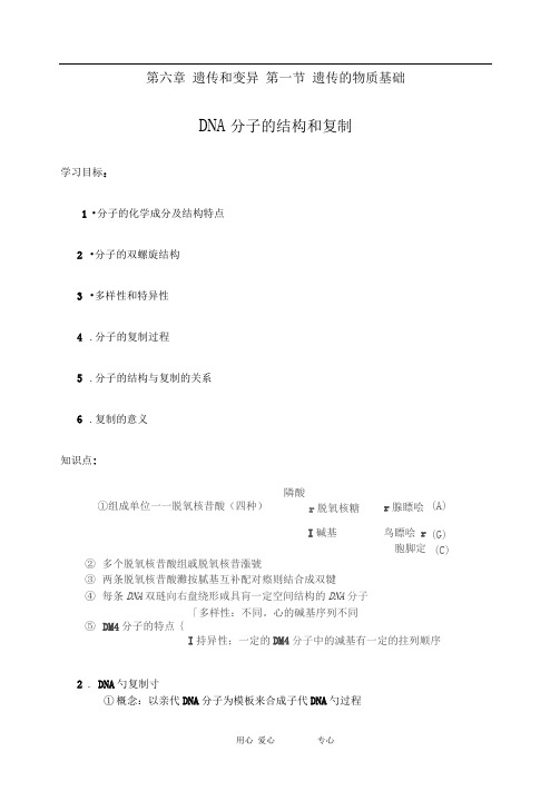 中图版必修二遗传的物质基础教案