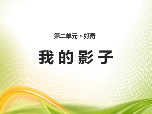 《我的影子》PPT[优秀课件]