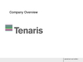 TENARIS公司介绍