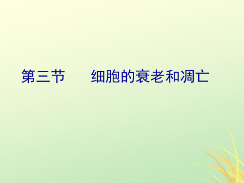 高中生物 专题6.3 细胞的衰老和凋亡同步 新人教版必修1