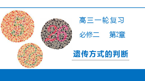 人教版高考生物专题复习课件  遗传方式的判断 (共29张PPT)