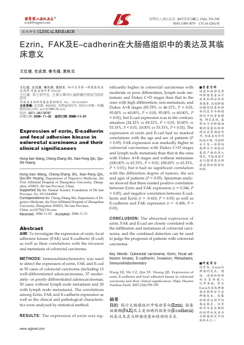 Ezrin, FAK 及E-cadherin 在大肠癌组织中的表达及其临床意义