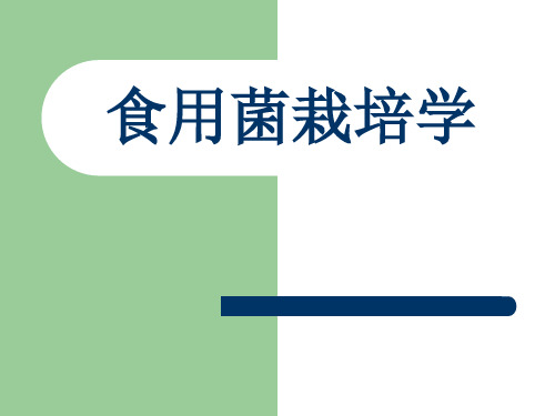 食用菌栽培学全套课件