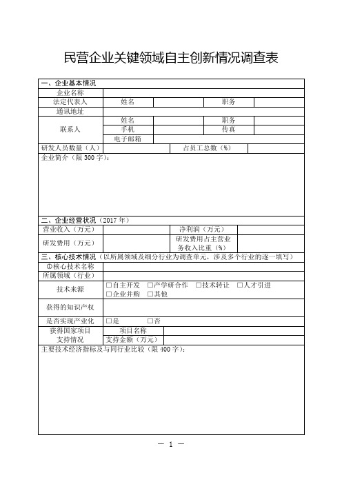 民营企业关键领域自主创新情况调查表