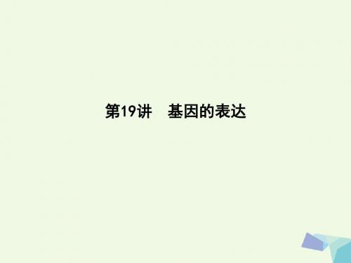 (水滴系列)高中生物第六单元遗传的分子基础第19讲基因的表达课件