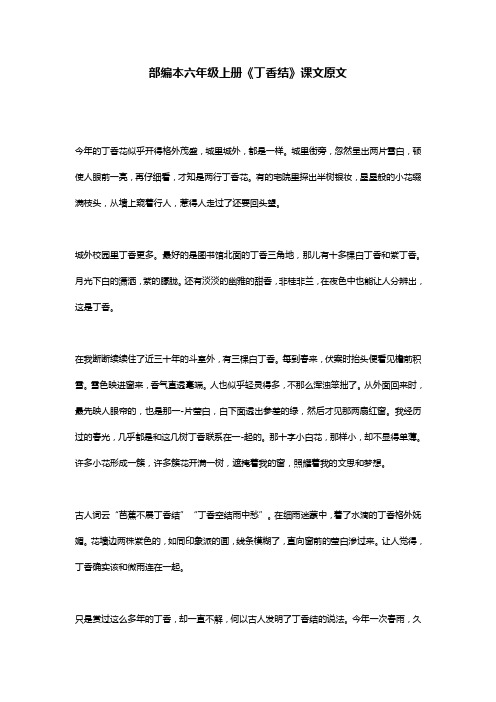 部编本六年级上册《丁香结》课文原文