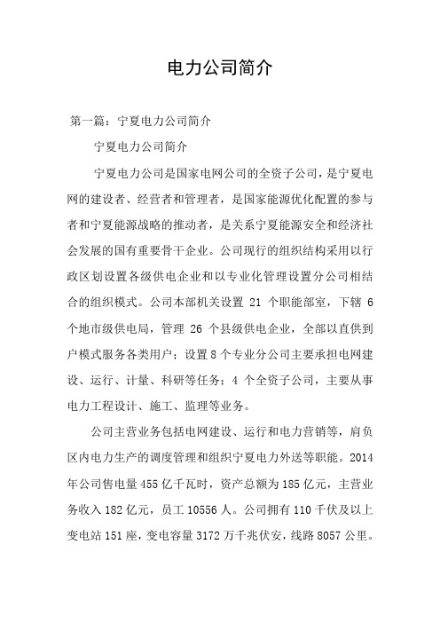 电力公司简介