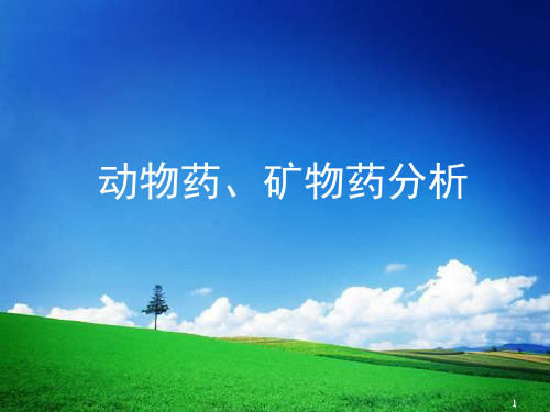 动物药矿物药分析(0)