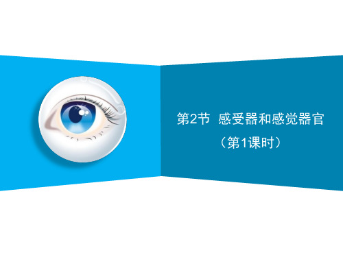 北师大版七年级下册生物第12章第2节 感受器和感觉器官 课件(22张PPT)