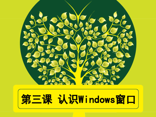 认识WINDOWS窗口分析