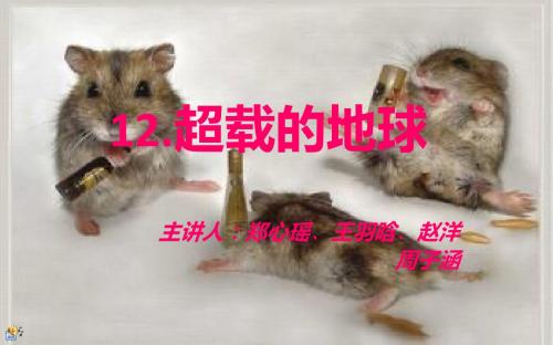 超载的地球.ppt