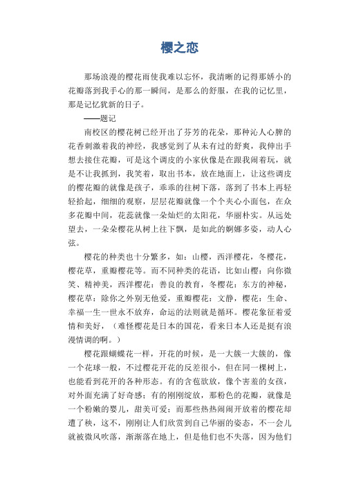 初中生作文范文：樱之恋