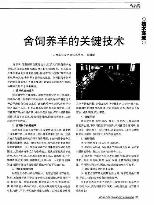 舍饲养羊的关键技术