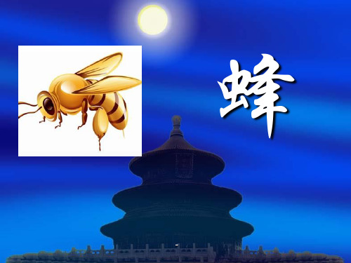 北师大版小学五年级下册语文《蜂 》-课件PPT