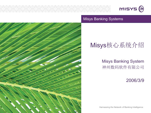 Misys_核心产品介绍