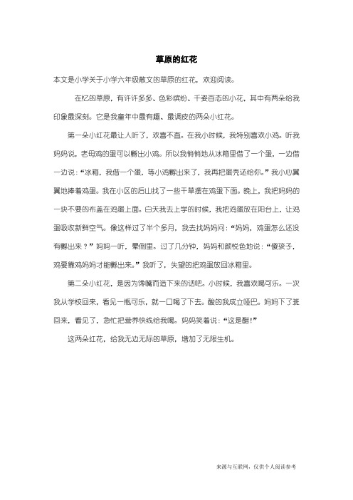 小学六年级散文：草原的红花