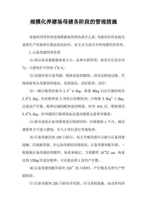 规模化养猪场母猪各阶段管理措施