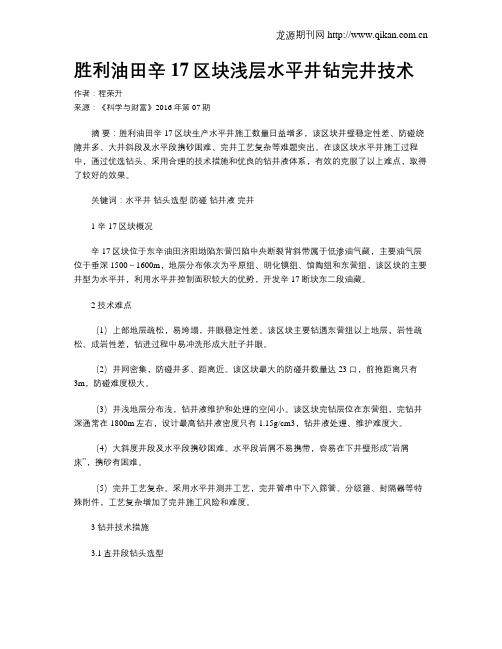 胜利油田辛17区块浅层水平井钻完井技术