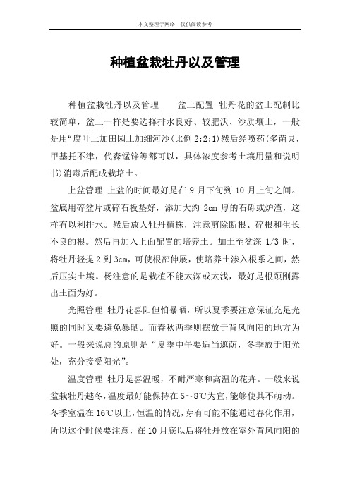 种植盆栽牡丹以及管理