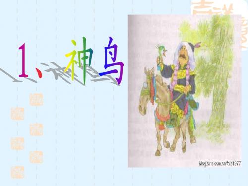 1、神鸟课件