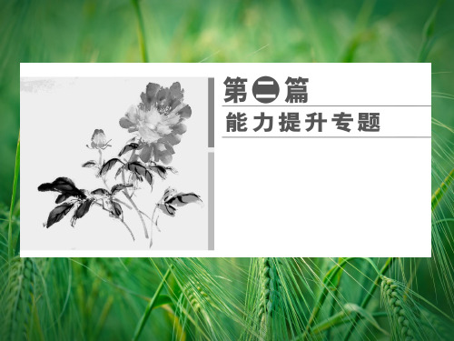 第2篇 专题1 获取与解读信息的能力课件课件