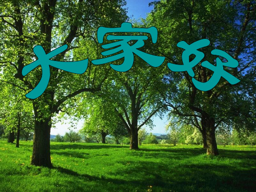 第二步建立好的企业构思
