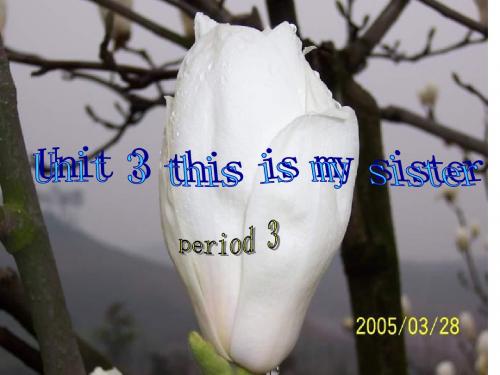 七年级英语This-is-my-sister课件1