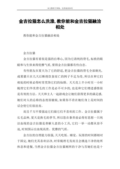 金吉拉猫怎么洗澡,教你能和金吉拉猫融洽相处