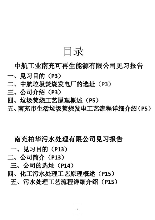 垃圾焚烧发电厂和化工园污水处理厂  见习报告 (1)