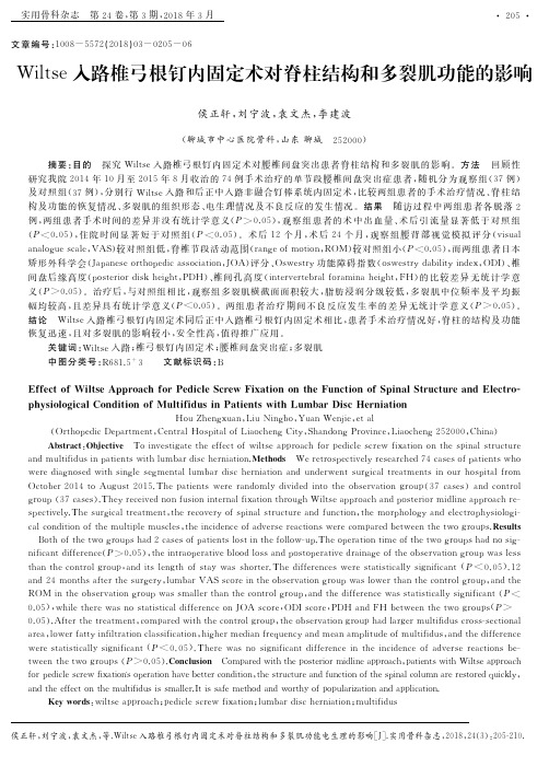 Wiltse入路椎弓根钉内固定术对脊柱结构和多裂肌功能的影响