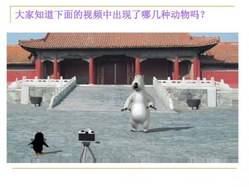北极熊